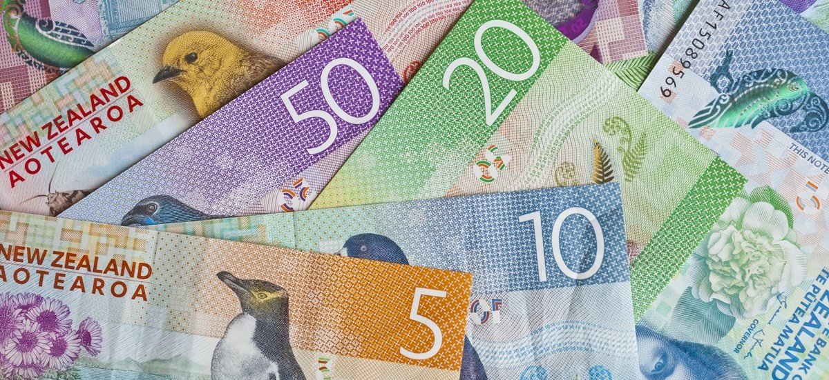 Close up of New Zealand dollar bank notes